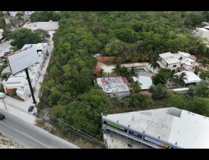 Screenshot_20240717_110013_com.huawei.himovie.overseas